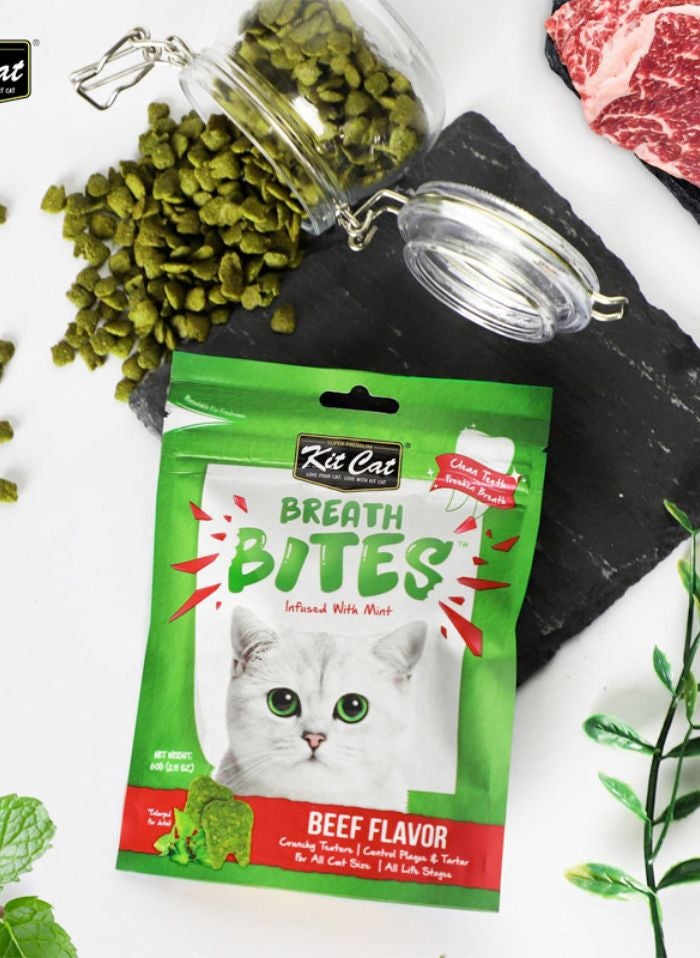 Kit Cat Breath Bites Beef Flavor 60g - Image 2