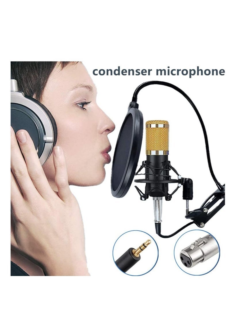 Gravity Condenser Microphone BundleMic Kit with Live Sound Card, Adjustable Mic Suspension Scissor Arm - Image 3