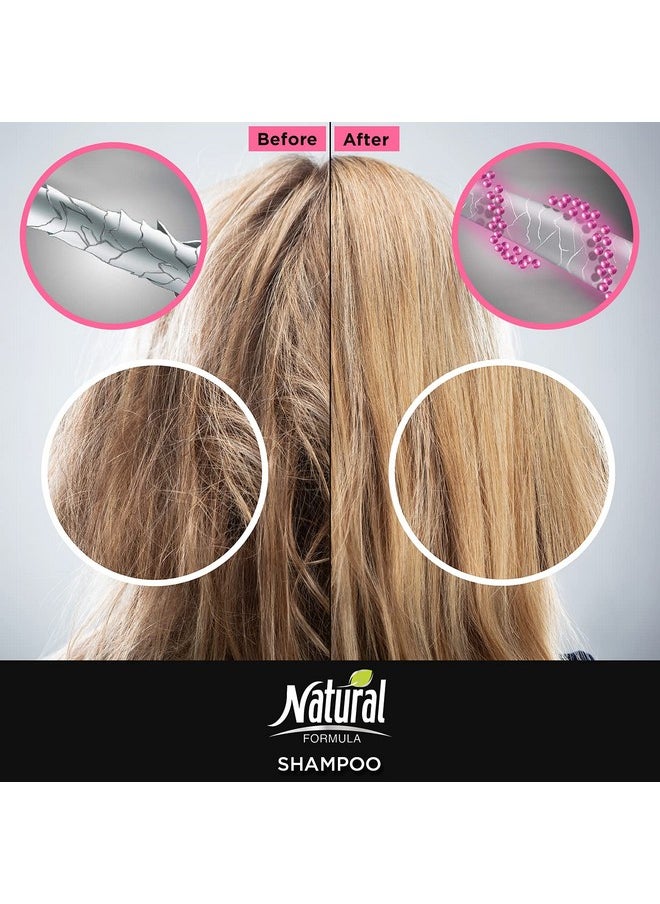 Natural Formula - Ampoule Intense Hair Shampoo Professional Ampoule Treatment With Natural Oils Repair Restore And Nourish Damaged Dry And Colortreated Hair Paraben And Sls Free 13.5 Fl Oz - Image 1