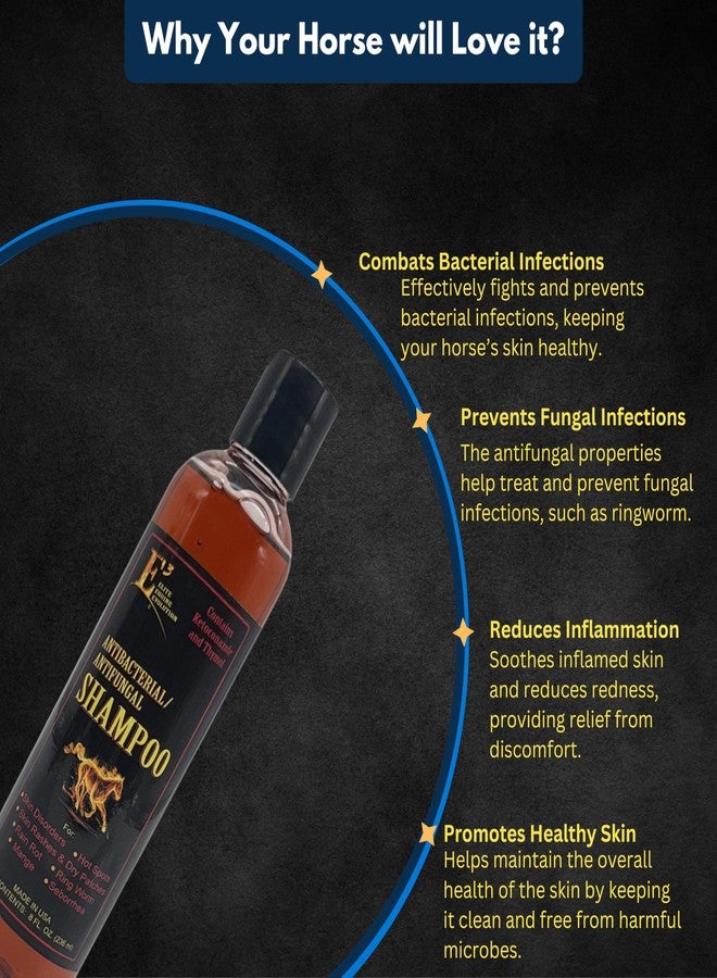 E3 شامبو E3 المضاد للفطريات كيتوكونازول وثيمول للعناية بالبشرة للخيول والكلاب - يخفف الحكة والتهيج والتهابات الجلد - مدعم بفيتامينات نانو A وC وE وF (8 أونصة) - Image 4