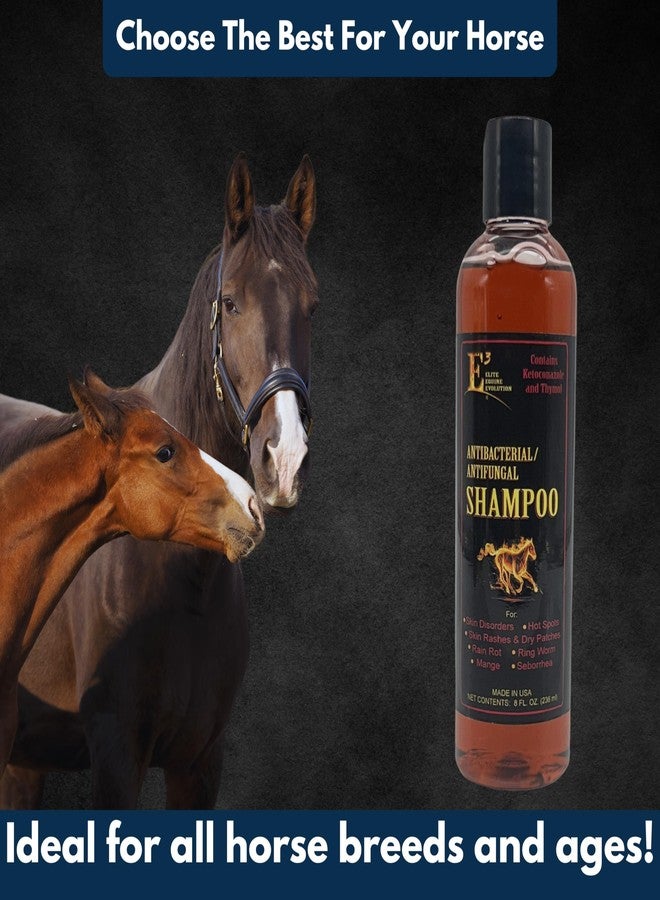 E3 شامبو E3 المضاد للفطريات كيتوكونازول وثيمول للعناية بالبشرة للخيول والكلاب - يخفف الحكة والتهيج والتهابات الجلد - مدعم بفيتامينات نانو A وC وE وF (8 أونصة) - Image 5
