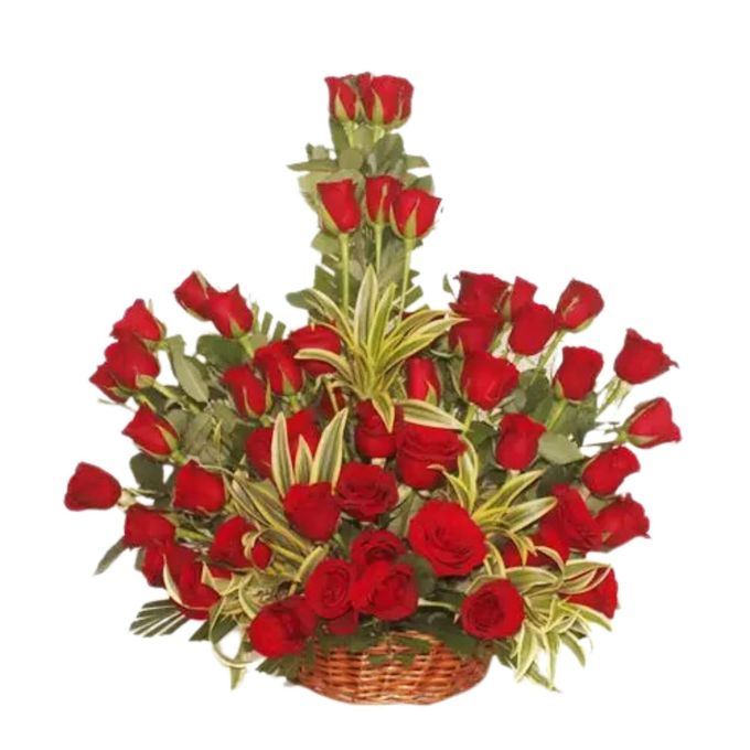 80ROSEGARDEN SORRY GIFTS FEELING SORRY ROSE BASKET 50 RED ROSES BASKET NEXTDAY DELIVERY
