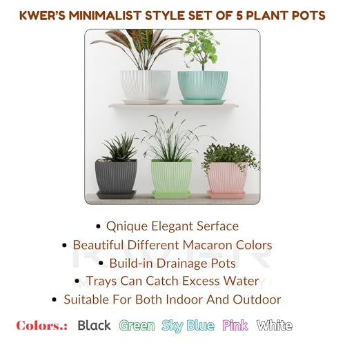 KWER Plastic Square Flower Pots – Durable Multicolor Planting Pots for Home, Balcony & Terrace, Indoor & Outdoor Gardening, Pack of 5 - Image 5
