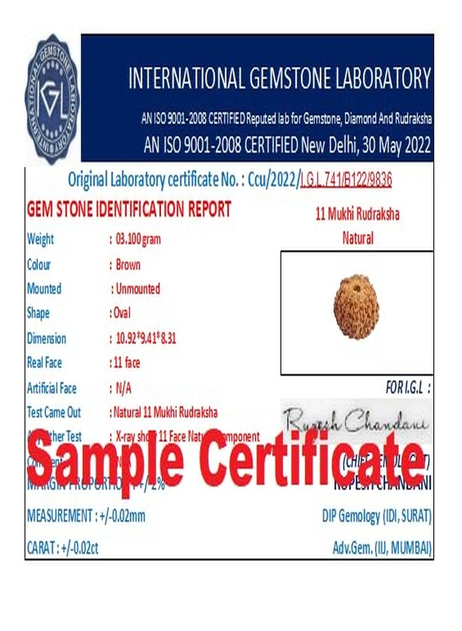 SRT Rudra 11 Mukhi Rudraksha Indonesia 11 Mukhi Rudraksha أصلي معتمد بغطاء فضي Gyarah Mukhi Rudrakshaa 11 Mukhi Rudraksh قلادة إندونيسية أصلية للرجال والنساء - Image 4