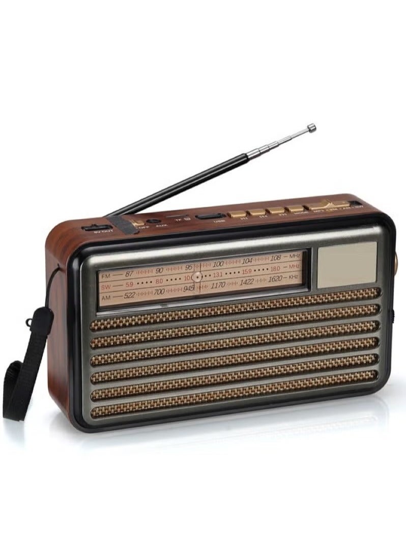 Denx Hi-Fi Radio, FM/AM/SW ,USB/TF/BT Player, Rechargeable Battery  - Image 2
