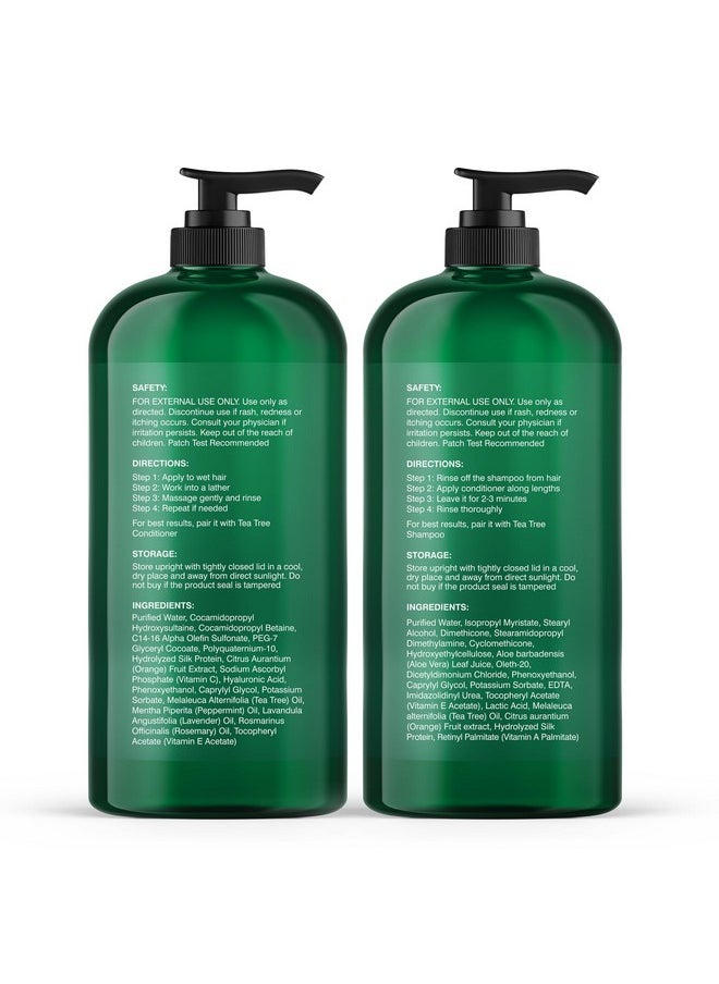 Botanic Hearth Botanic Hearth Shampoo and Conditioner Set - with 100% Pure Tea Tree Oil, for Itchy and Dry Scalp, Sulfate/Paraben Free - for Men and Women - 16 fl oz each  - Image 3
