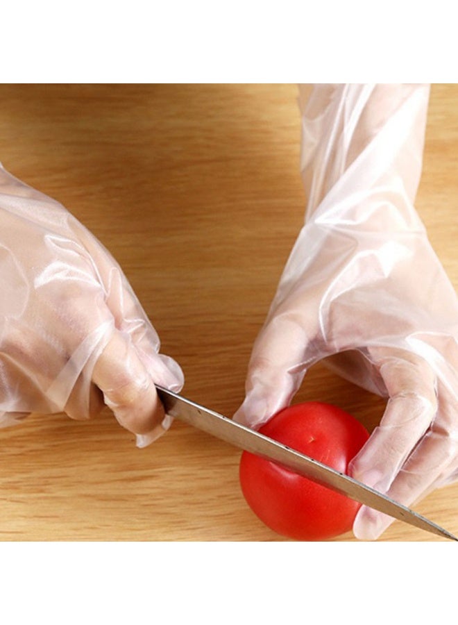 50 pcs Disposable Long Arm Gloves with Elastic Cuff for Kitchen Dishwashing And Food Handling Gloves - Image 2