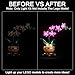 Hilighting Upgraded Led Light Kit Compatible with Lego Botanicals Mini Orchid Building Set Lights Decoration Compatible with Lego 10343 Model Not Included - Image 4