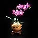 Hilighting Upgraded Led Light Kit Compatible with Lego Botanicals Mini Orchid Building Set Lights Decoration Compatible with Lego 10343 Model Not Included - Image 2