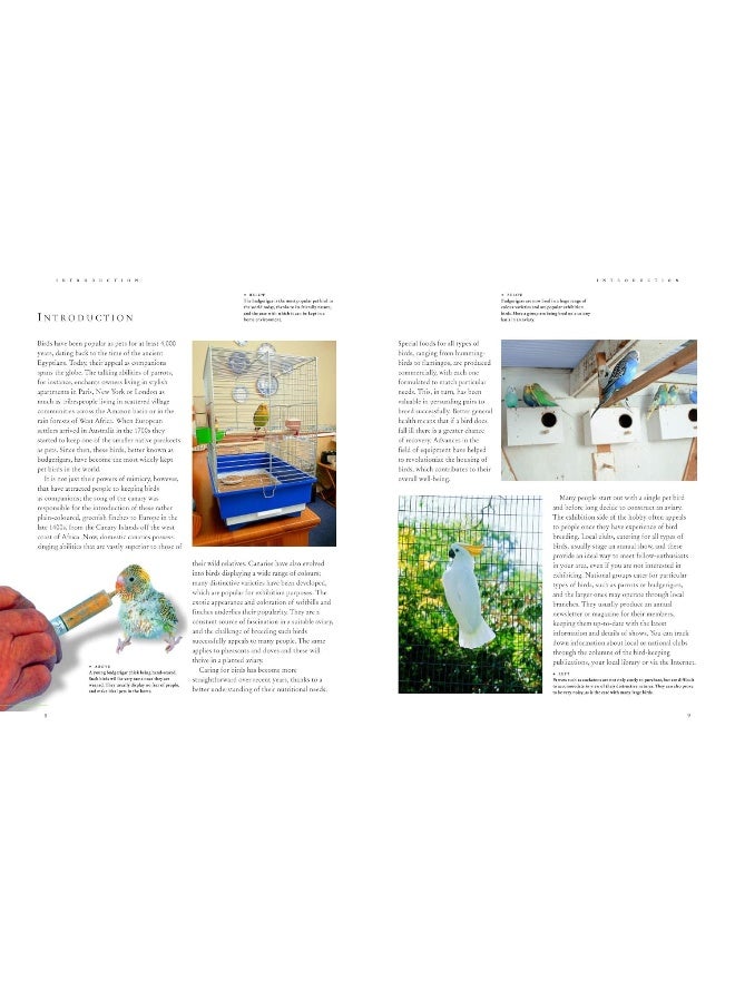 Keeping Pet & Aviary Birds, The Complete Practical Guide to: How to keep pet birds, with expert advice on buying, housing, feeding, handling, breeding and exhibiting - Image 2