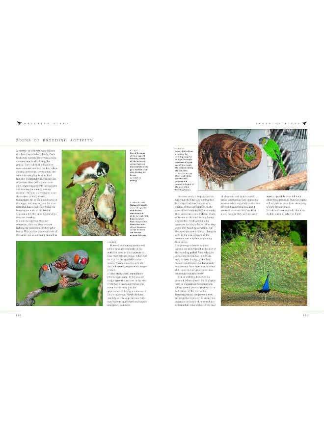 Keeping Pet & Aviary Birds, The Complete Practical Guide to: How to keep pet birds, with expert advice on buying, housing, feeding, handling, breeding and exhibiting - Image 5