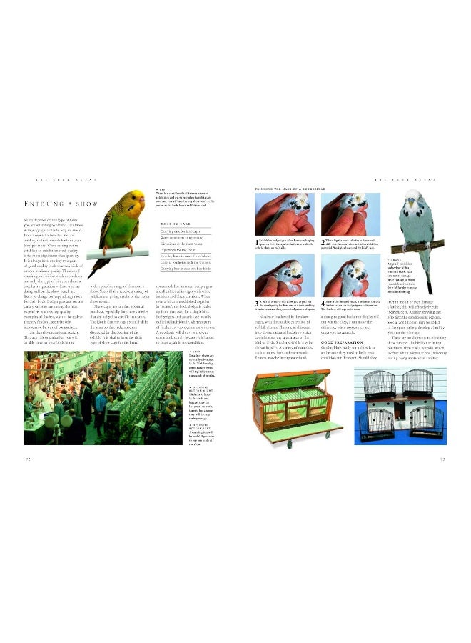Keeping Pet & Aviary Birds, The Complete Practical Guide to: How to keep pet birds, with expert advice on buying, housing, feeding, handling, breeding and exhibiting - Image 4
