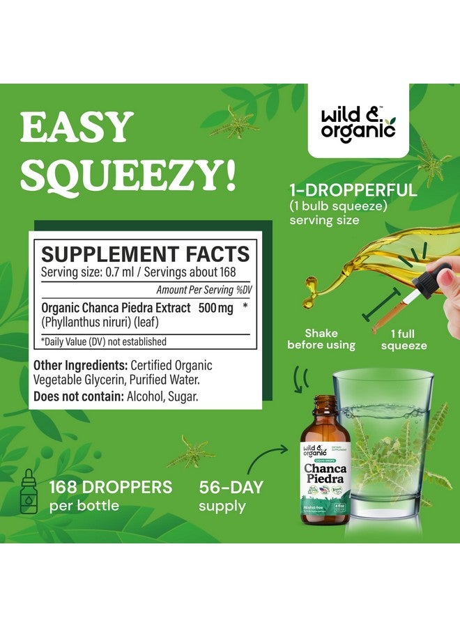 Wild & Organic قطرات شنكبيتر البرية والعضوية لكسر الحصى - مستخلص شنكبيتر العشبي لدعم الكلى وتنظيف المرارة ودعم المسالك البولية - صبغة نباتية خالية من السكر والكحول - 4 أونصة سائلة - Image 3