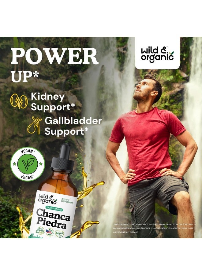 Wild & Organic قطرات شنكبيتر البرية والعضوية لكسر الحصى - مستخلص شنكبيتر العشبي لدعم الكلى وتنظيف المرارة ودعم المسالك البولية - صبغة نباتية خالية من السكر والكحول - 4 أونصة سائلة - Image 2