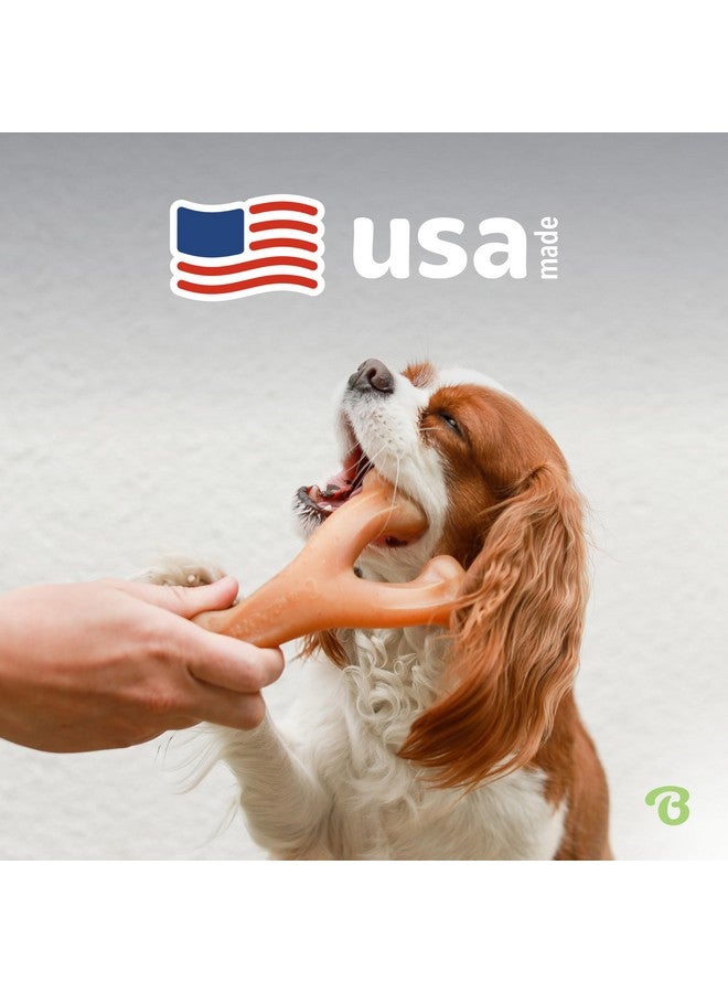 Benebone Wishbone Durable Dog Chew Toy for Aggressive Chewers, Real Peanut, Made in USA, Small, for Any breed - Image 4