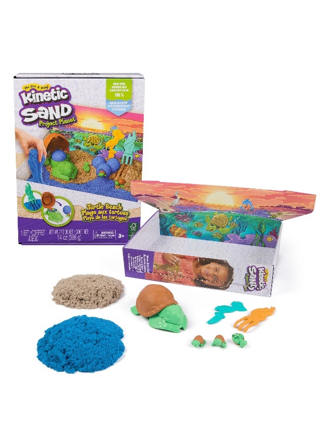 Kinetic Sand مجموعة كينيتك ساند مشروع كوكب السلحفاة على شاطئ البحر - Image 1