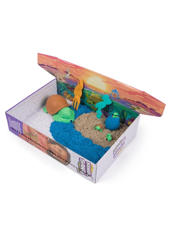 Kinetic Sand مجموعة كينيتك ساند مشروع كوكب السلحفاة على شاطئ البحر - Image 3