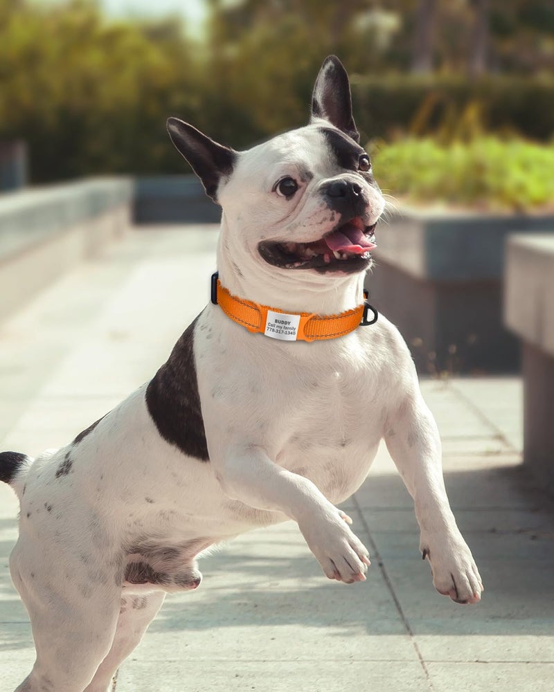 TagME Reflective Nylon Dog Collars, Adjustable Classic Pet Collar with Quick Release Buckle for Small Dogs, Orange, 3/4" Width - Image 2