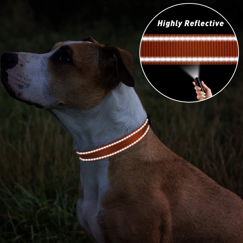 TagME Reflective Nylon Dog Collars, Adjustable Classic Pet Collar with Quick Release Buckle for Small Dogs, Orange, 3/4" Width - Image 5