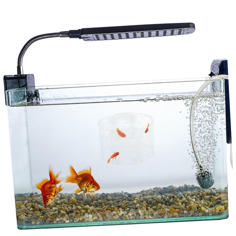 Fish Breeding Box Isolation Tank Protective Divider for Newborns Pregnant Betta Shrimp - Image 3