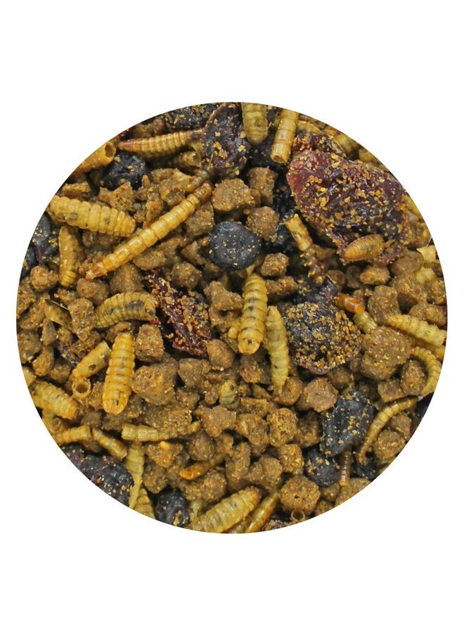 EXOTIC NUTRITION Berries & Bugs - All Natural High Protein High Fiber Food for Hedgehogs, Skunks, Opossums, Sugar Gliders - Universal Insectivore Diet with Fruit, Gut-Loaded Insects, & Healthy Vitamins (1.5 lb)  - Image 5