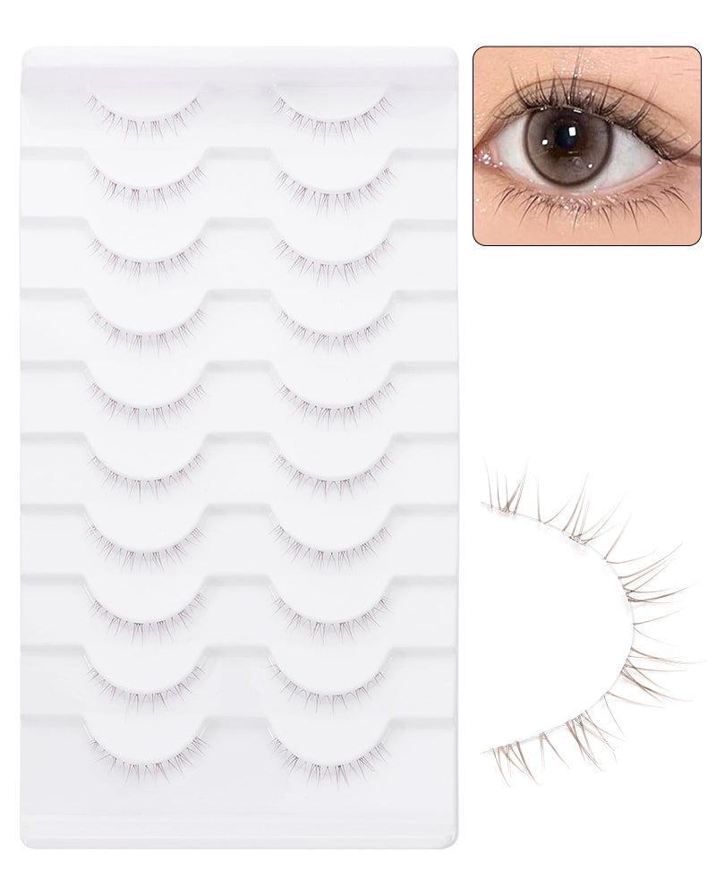 outopen 10 Pairs Brown Lashes Clear Band Brown Manga Lashes Japanese Anime Cosplay Eyelashes Asian False Eyelashes Natural Look Like Individual Clusters(A01-Manga Lashes 8-13mm) - Image 3