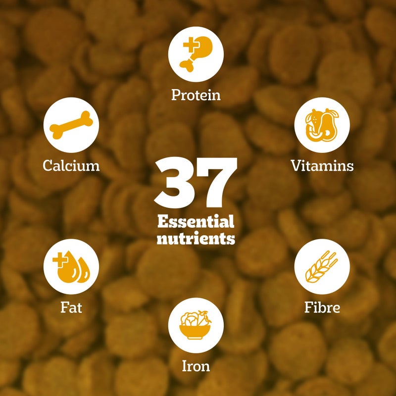 Pedigree طعام جاف للكلاب البالغة والجرو، 100% نباتي، 1 كجم، يحتوي على 37 عنصر غذائي أساسي، طعام كامل ومتوازن للكلاب البالغة - Image 4