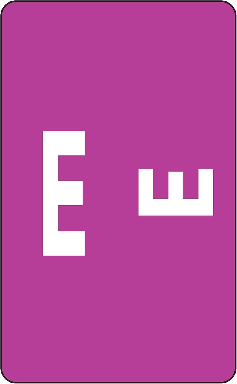 Smead AlphaZ ACCS ColorCoded Alphabetic Label E Purple 100 Labels per Pack 67175 - Image 1