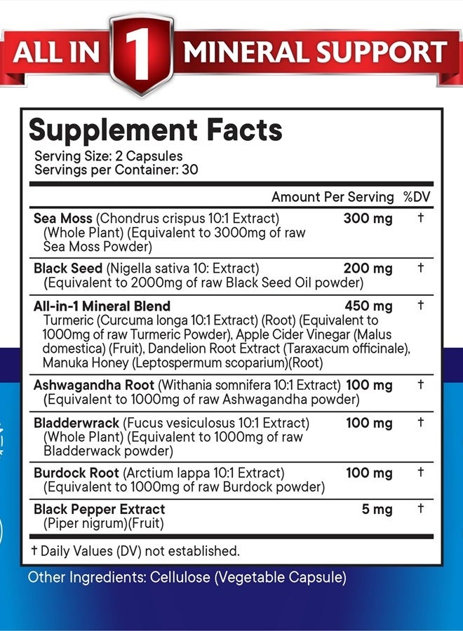 New Age Sea Moss 3000mg Black Seed Oil 2000mg Ashwagandha 1000mg Turmeric 1000mg Bladderwrack 1000mg Burdock 1000mg- with Manuka, Honey Dandelion, ACV Black Pepper Gluten Free - Image 2