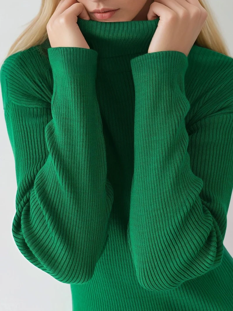 MY FASHION Green MY FASHION Ribbed Turtleneck Bodycon Knit Dress for Women | Best Price UAE