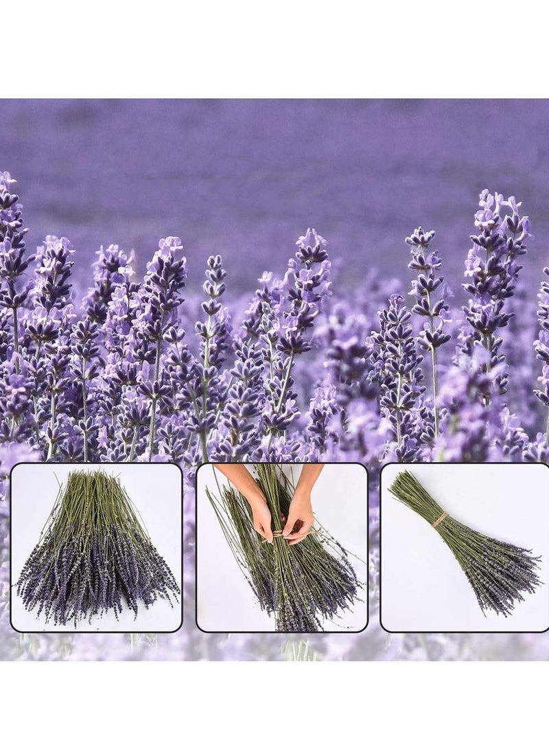 Natural Dried Lavender Bouquet, 15.7 Inches Decorative Dried Flowers for Wedding, Home, Office, Table, and Kitchen Decor (Blue/Purple) - Image 5