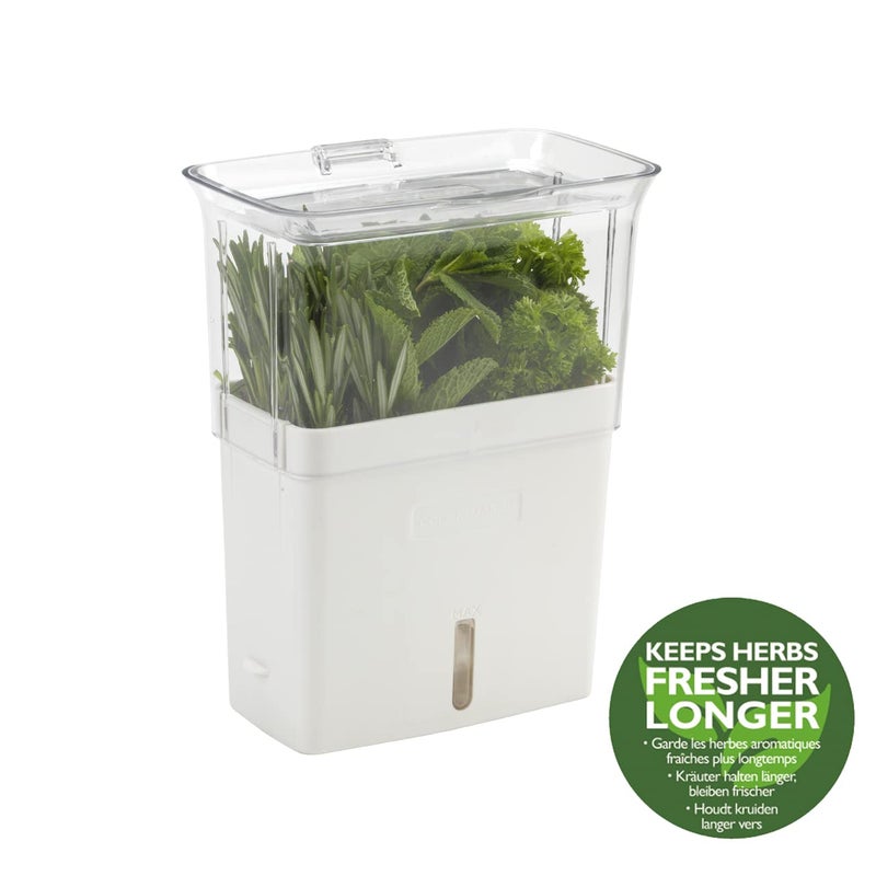 Cole & Mason H105159 Tealby Fresh Cut Herb Keeper, Herb Pot/Storage/Herb Saver/Box, Acrylic, Includes Removable Dividers, 2 Year Guarantee,White/Clear (H) 230mm x (W) 185mm x (D) 120mm - Image 4