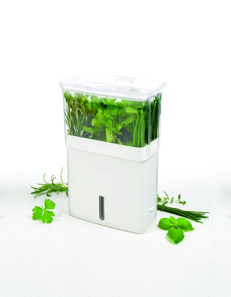 Cole & Mason H105159 Tealby Fresh Cut Herb Keeper, Herb Pot/Storage/Herb Saver/Box, Acrylic, Includes Removable Dividers, 2 Year Guarantee,White/Clear (H) 230mm x (W) 185mm x (D) 120mm - Image 5