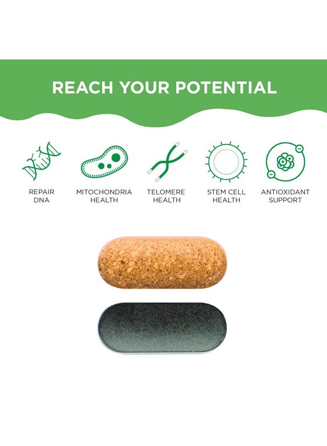 Healthycell HealhtyCell AM/PM Healthspan System - 90+ Vitamins, Minerals, Protective Phytonutrients, Probiotics & Enzymes for Advanced Cellular Nutrition - 60 AM Tablets & 60 PM Tablets - Image 3