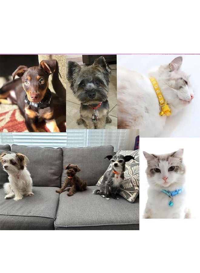 طقم طوق ومقود أحمر صغير للجراء الإناث، طوق ومقود من النايلون بنقشة مخالب القطط مع مشبك قابل للتعديل مناسب للجراء الإناث الصغيرة من نوع يوركشاير تيرير وشيواوا. - Image 4