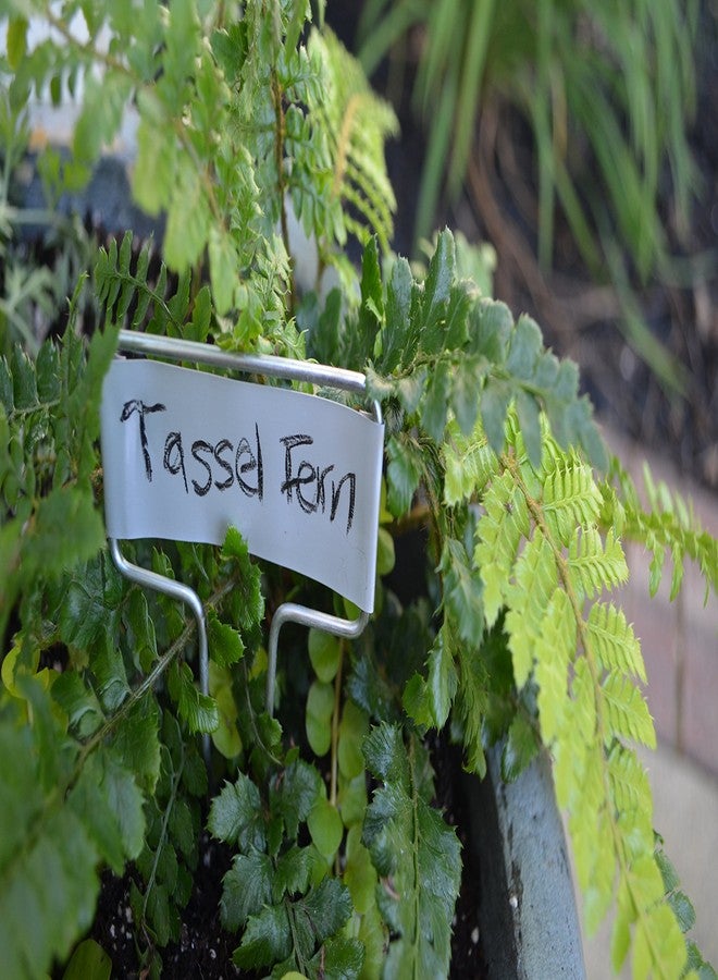 بوسمير قلم تحديد نباتات صغير الوجه من الزنك المعدني من بوسمير مع قلم رصاص كربوني، ارتفاع 5 بوصات (عبوة من 20 قطعة) - Image 2