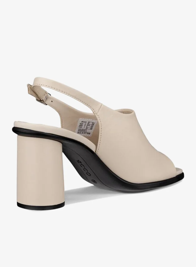 إيكو إيكو سكالبد ألبا ٦٥