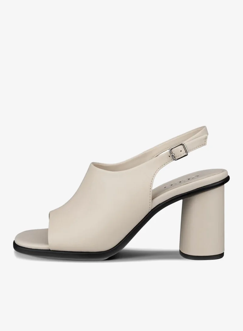 إيكو إيكو سكالبد ألبا ٦٥