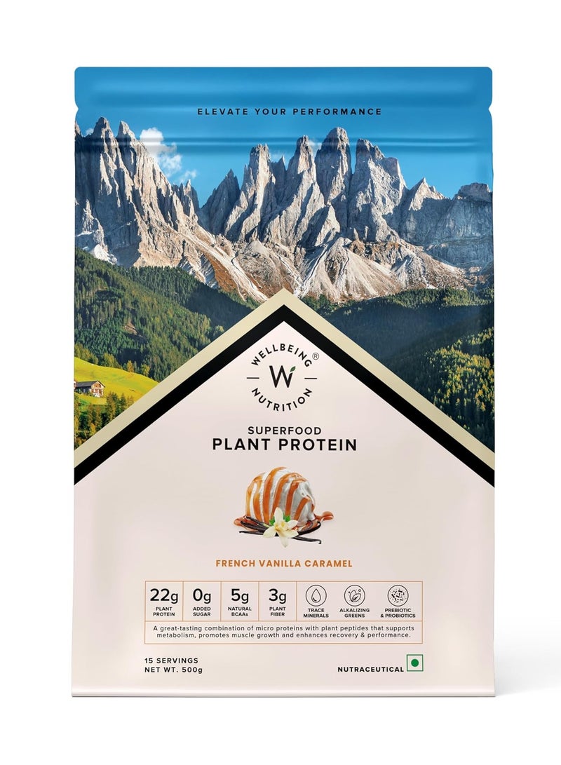 WELLBEING NUTRITION Organic Vegan Plant Protein Isolate| 22g Protein, 5g BCAA, 3B CFU Probiotics, Digestive Enzyme, 3g Fiber, Alkalizing Green| NO Bloat, Easy to Digest| French Vanilla Caramel 500gm - Image 1