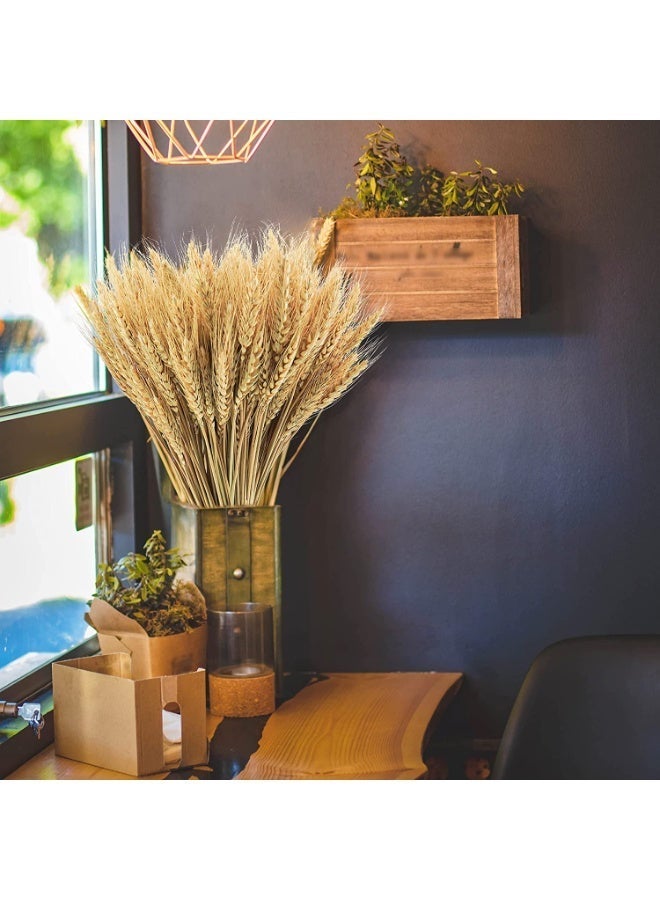 Natural Dried Wheat Flower Bouquet, 100 x 40 cm, for Home Decor & Events - Image 3