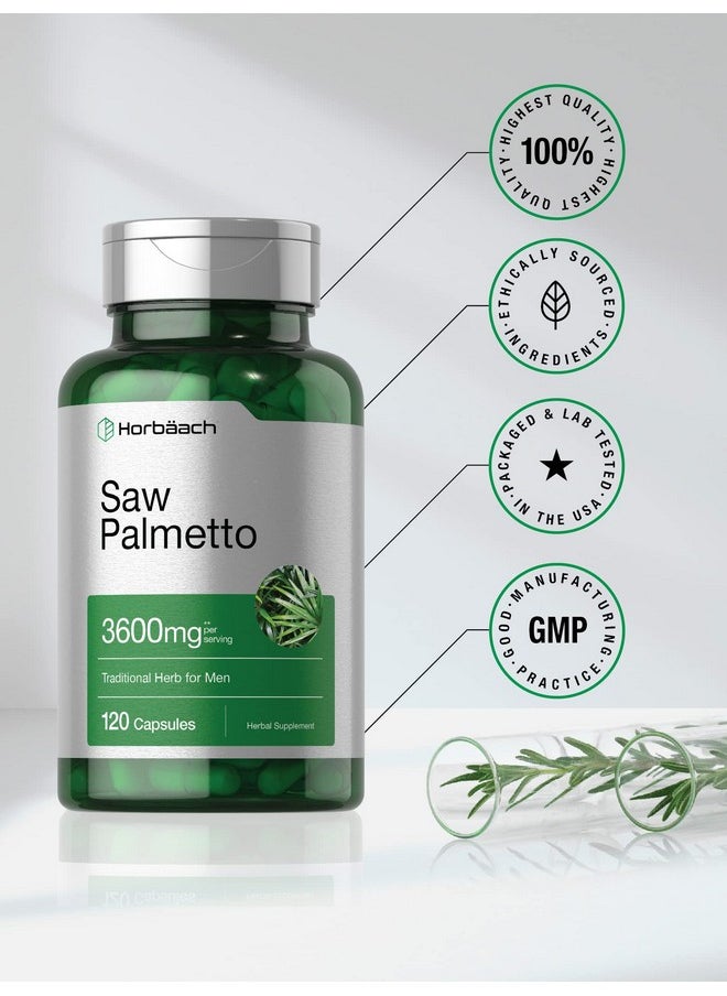 Horbaach Horbäach Saw Palmetto Extract | 120 Capsules | Non-GMO and Gluten Free Formula | from Saw Palmetto Berries 