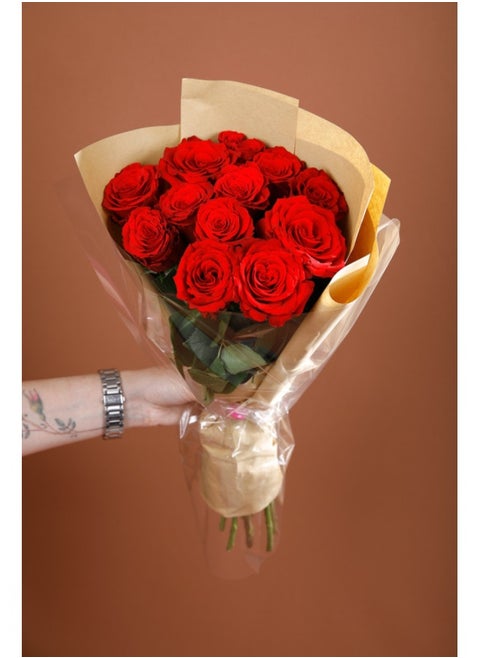 One Dozen Upper Class 40cm