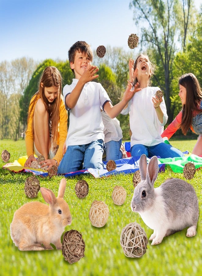 Sofier Rabbit & Guinea Pig Toys 16 Pcs Chew Grass Balls Natural Chews for Rodents - Handmade Enrichment Treats for Chinchillas, Guinea Pigs - Image 5