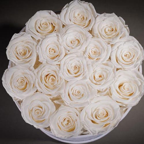 Prifroti 17 Flowers in a Luxury Suede Box, Birthday Gifts for Women, Preserved Flowers, Mothers Day Roses Gift for Mom, White - Image 5