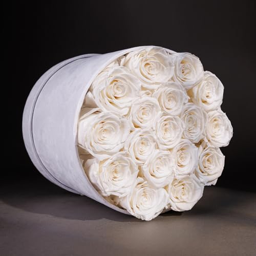 Prifroti 17 Flowers in a Luxury Suede Box, Birthday Gifts for Women, Preserved Flowers, Mothers Day Roses Gift for Mom, White - Image 2