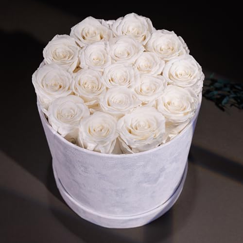 Prifroti 17 Flowers in a Luxury Suede Box, Birthday Gifts for Women, Preserved Flowers, Mothers Day Roses Gift for Mom, White - Image 4
