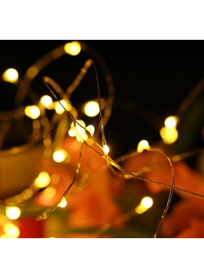 Loquat Solar Powered LED String Light Warm Yellow - Image 4