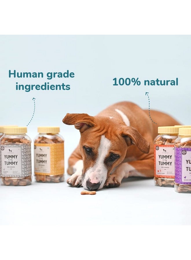 Heads Up For Tails Yummy in My Tummy Banana & Oats Veg Dog Biscuits for All Life Stages - 800G Each - Pack of 2 - Image 5