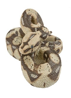 Safari Safari Ltd. Boa Constrictor XL Realistic Hand Painted Toy Figurine Model Quality Construction from Phthalate, Lead and BPA Free Materials for Ages 3 and Up 