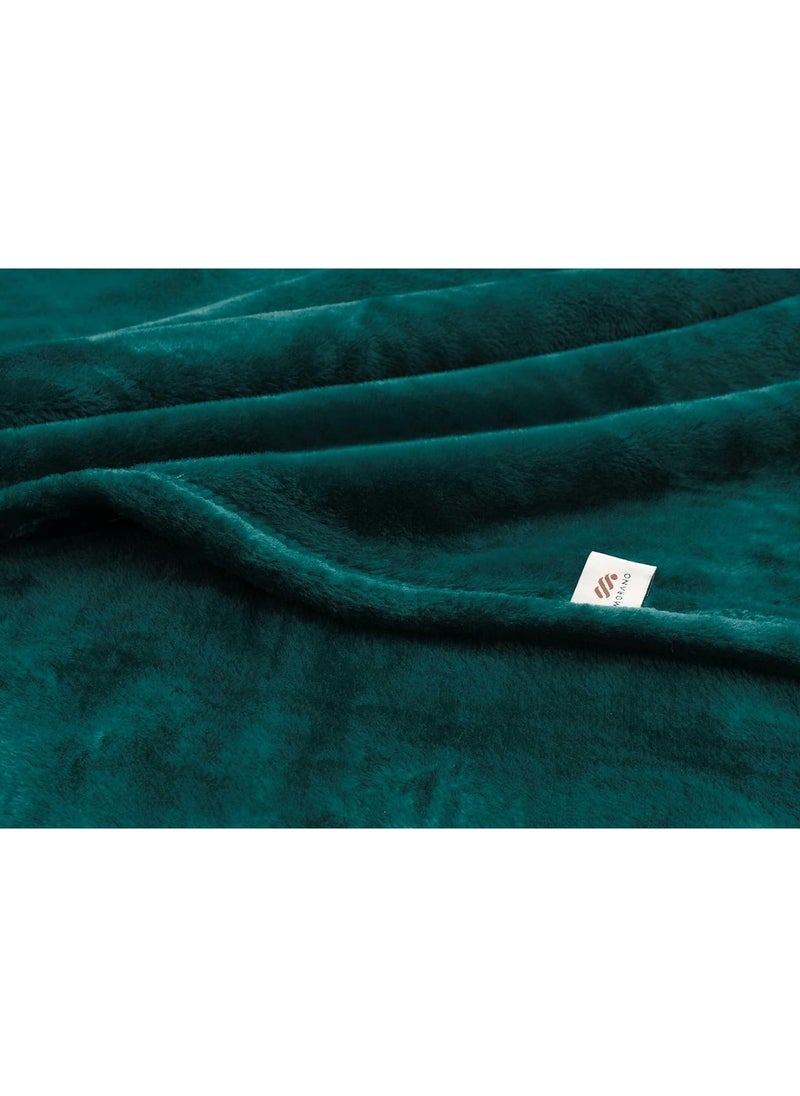 Velvet Blanket Microfiber Material Green Teal Color 220 x 240 CM - pzsku/ZE8549234A52F540D0760Z/45/_/1725979943/eb2cb069-4e75-40d5-8716-56d4f0c84c9a